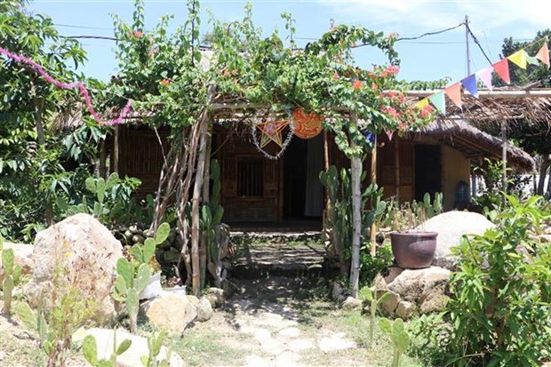 Go Co ancient village adds charm to Quang Ngai province hinh anh 1