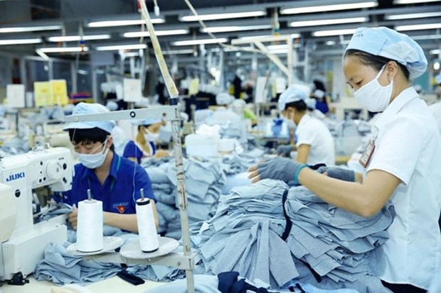 Labour market set for recovery in 2024 hinh anh 2