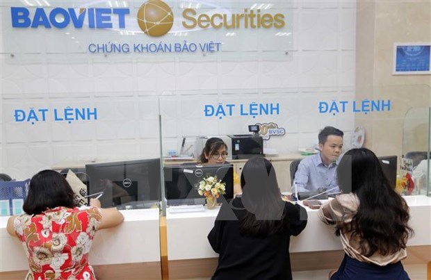 Study looks into protecting minority shareholders in Vietnamese context hinh anh 1