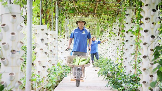 Bac Giang strives to raise agricultural production value hinh anh 1