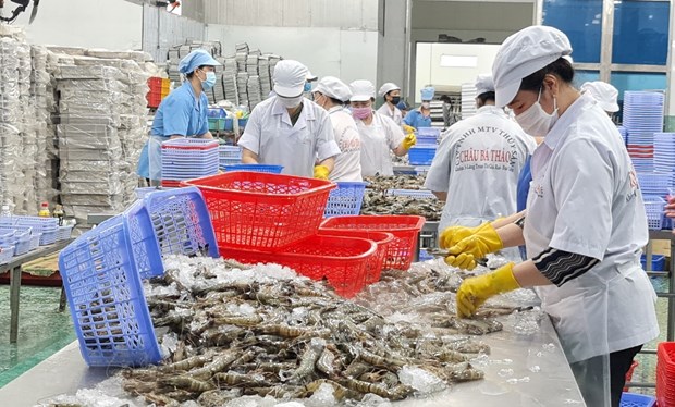 Agro-forestry-fishery exports set new record in 2022 hinh anh 1