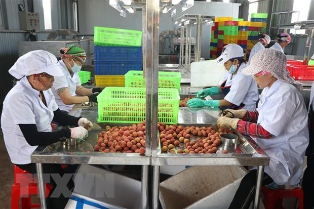 Communities promote local fruit varieties to drive consumption trends hinh anh 2