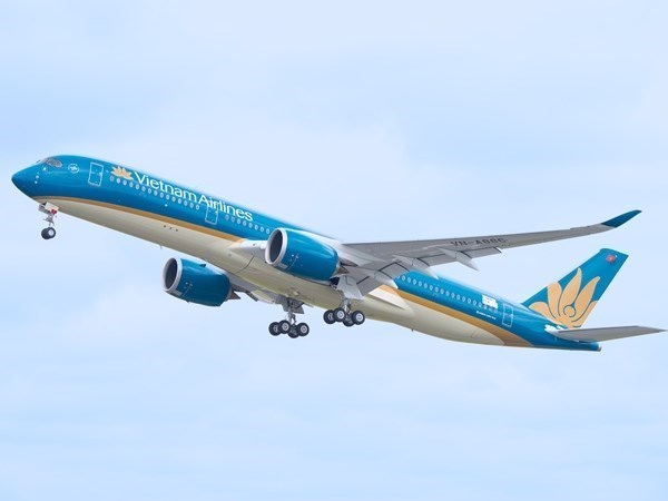 Vietnam Airlines receives 10th Dreamliner hinh anh 1