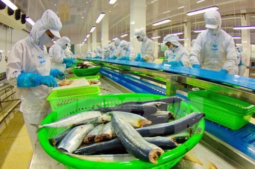 China likely becomes Vietnam’s biggest tra fish market hinh anh 1