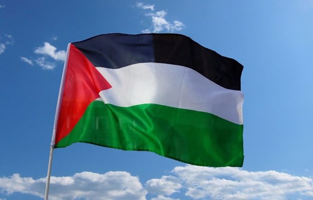 President sends congratulations on day of solidarity with Palestinians hinh anh 1