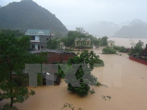 Government gives rice aid to flood-hit central provinces hinh anh 1