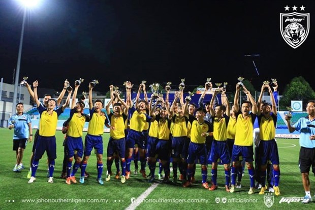 Vietnamese team wins Challenge Cup in Singapore hinh anh 1