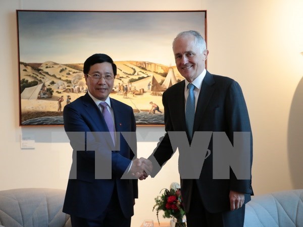Vietnam remains key Asian-Pacific partner of Australia: Julie Bishop hinh anh 2