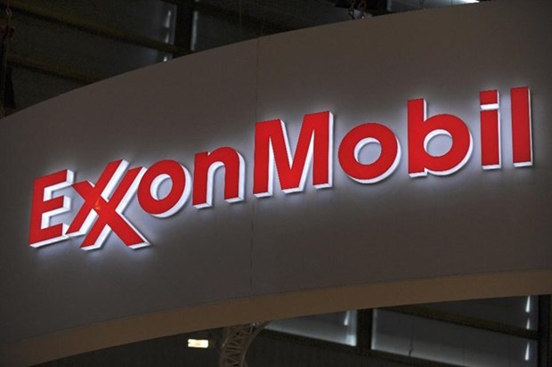 Deputy PM hosts ExxonMobil Group’s Vice President hinh anh 1