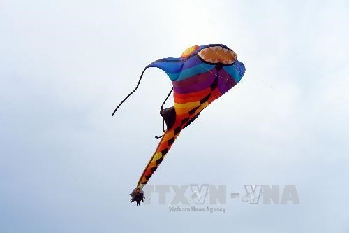 Vietnam Art Kite Festival opens in Vung Tau hinh anh 1