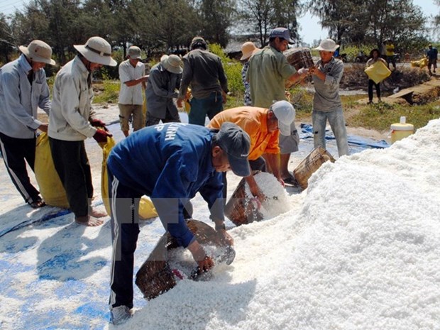 Salt aid delivered to flood-hit people in Ha Tinh hinh anh 1