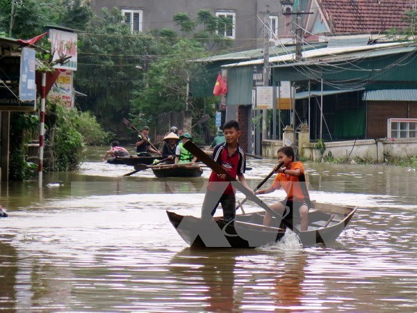 Flooding kills 13 in central region hinh anh 1
