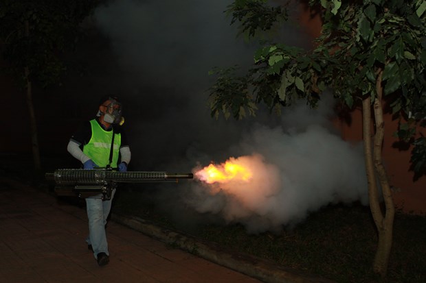 HCM City using thermal foggers to kill mosquitoes hinh anh 1