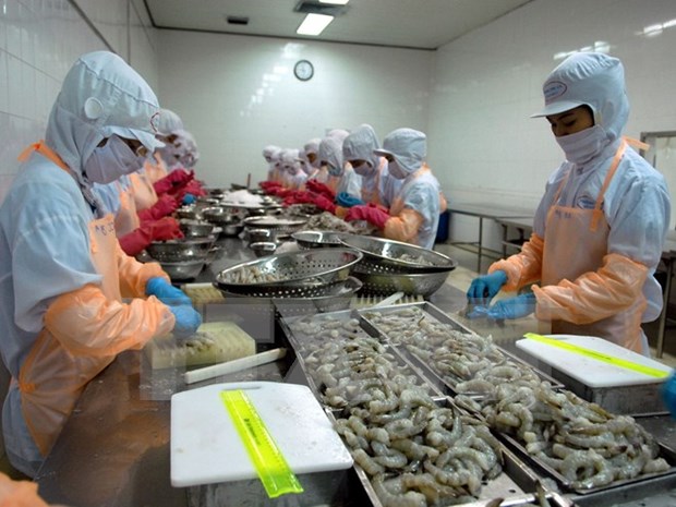 Vietnam remains biggest shrimp supplier for Australia hinh anh 1