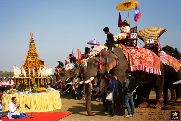 Lao Elephant Festival to take place in Xayaboury hinh anh 1