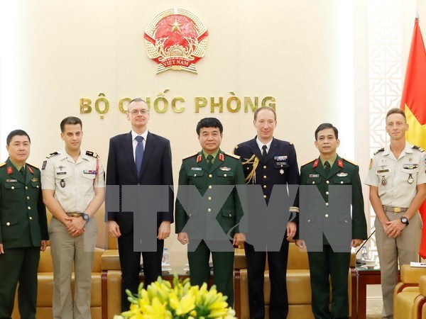 Vietnam wants more experience in UN peacekeeping from France hinh anh 1
