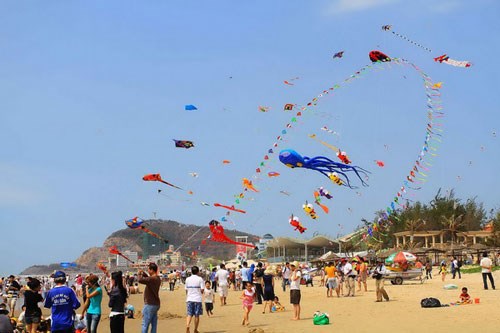 International Kite Festival opens in Vung Tau hinh anh 1