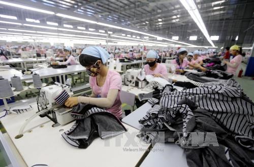 Vietnamese firms invest in textile, dyeing hinh anh 1