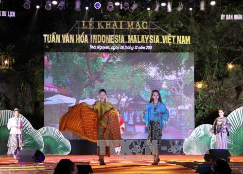 Thai Nguyen hosts Malaysia, Indonesia, Vietnam Culture Week hinh anh 1