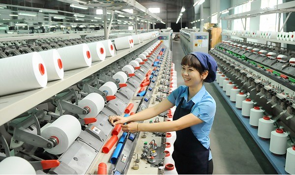 Textile industry urged to develop supply chain hinh anh 1