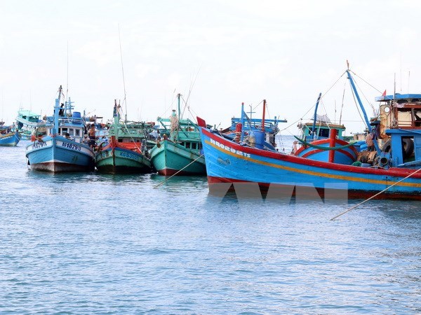 12 Vietnamese fishermen arrested by Malaysian authorities hinh anh 1