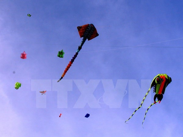 Annual kite fest takes wing in Vung Tau hinh anh 1