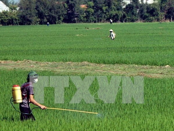 Measures urged to minimise agricultural pollution hinh anh 1