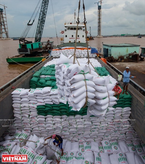 Cambodia’s rice, dried tobacco to enjoy zero percent import tariff hinh anh 1