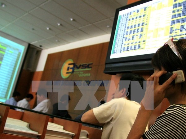 Local bourses: shares fall hinh anh 1