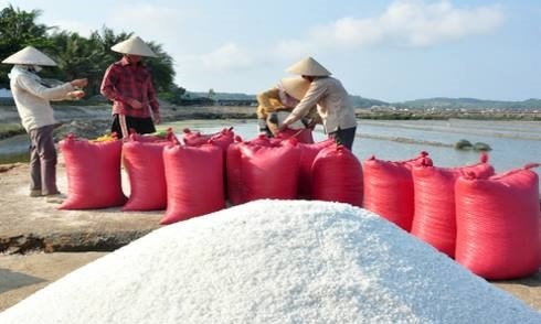 Quality salt production zone planned hinh anh 1