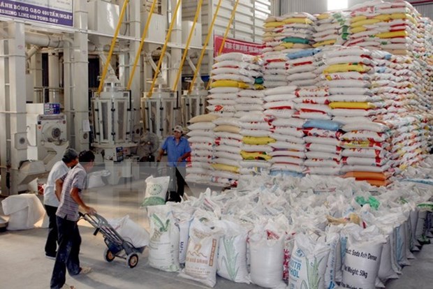 Vietnam Food Association proposes rice export volume cut hinh anh 1