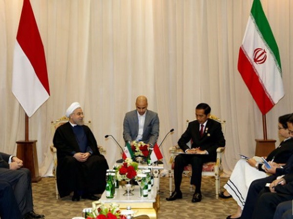 Indonesia, Iran boost cooperation hinh anh 1