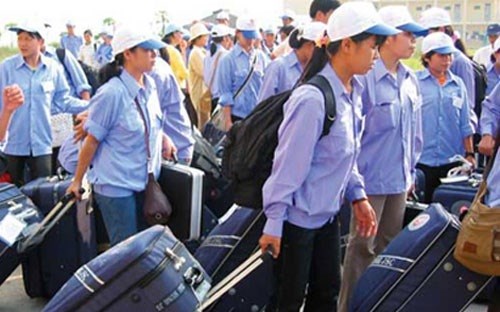 Internal migration survey 2015 in Vietnam announced hinh anh 1