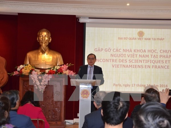 Vietnamese scientists in France contribute to homeland hinh anh 1