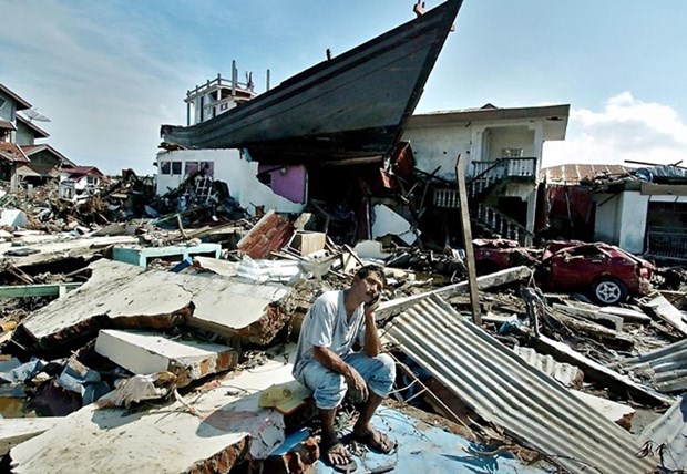 Indonesia marks 12 years since tsunami in Aceh hinh anh 1