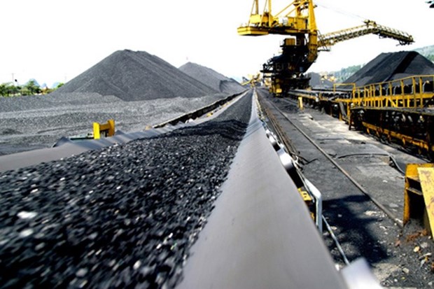 Coal piles up as domestic firms prefer imports hinh anh 1