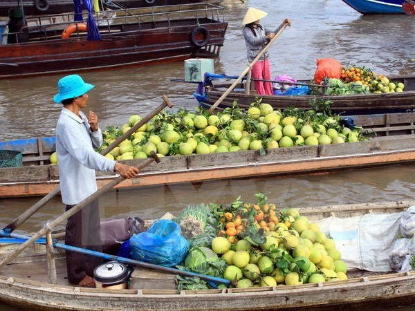 Can Tho works to develop Cai Rang floating market hinh anh 1