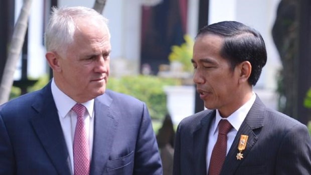 Australia, Indonesia committed to maintaining bilateral ties hinh anh 1