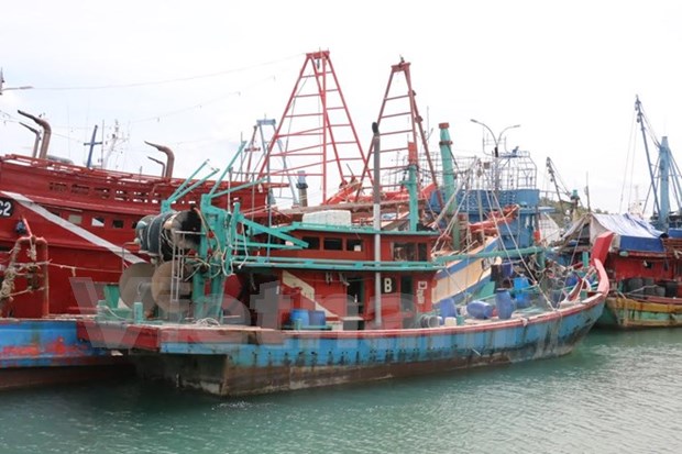 Indonesia captures 163 illegal fishing boats in 2016 hinh anh 1