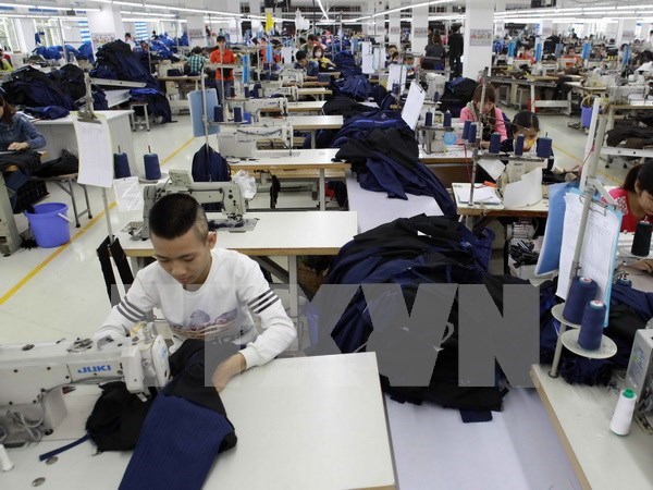 Vietnamese apparel firms receive full orders until March hinh anh 1