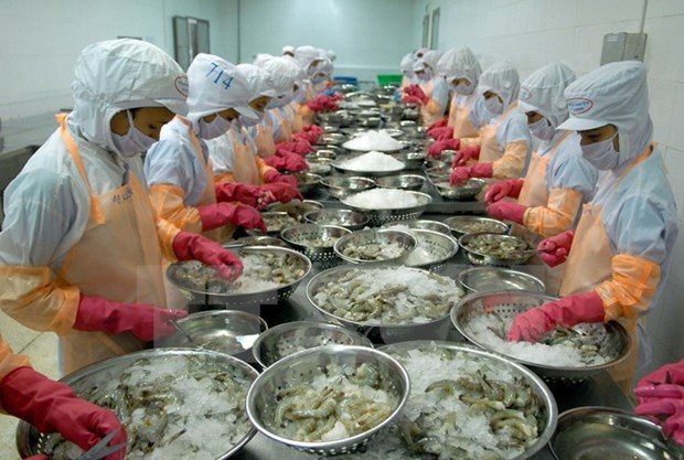 Vietnam’s shrimp exports to EU increase 7.5 percent hinh anh 1