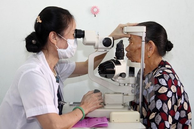 PM approves blindness prevention strategy hinh anh 1