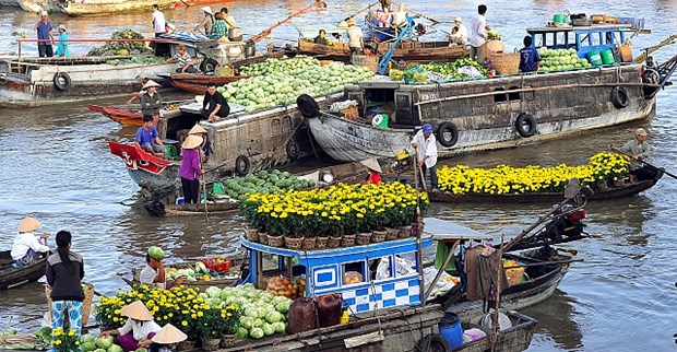 Mekong Delta city targets 5.6 million tourists in 2017 hinh anh 1
