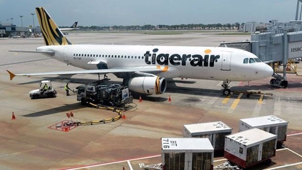 Tourists stranded on Bali as Tigerair flights banned hinh anh 1