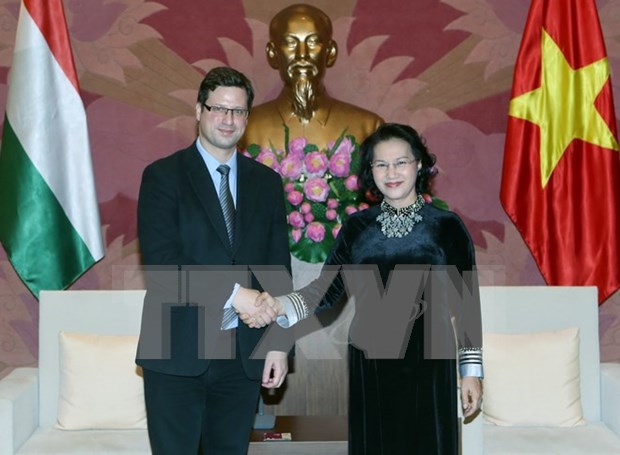 NA Chairwoman welcomes Deputy Speaker of Hungarian NA hinh anh 1