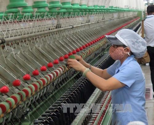 Vinatex to invest 240 million USD to boost production hinh anh 1