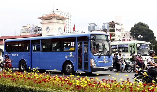 HCM City improves bus services hinh anh 1