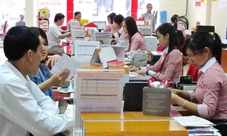 HCM City banking sector sets high goals for 2017 hinh anh 1