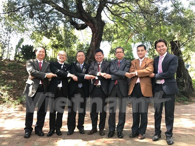 ASEAN council in South Africa to mark bloc’s 50th founding anniversary hinh anh 1