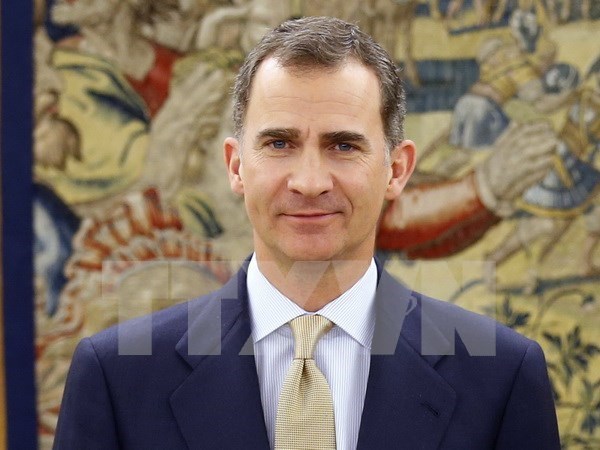 Spanish King highlights Vietnam as important partner in Asia-Pacific hinh anh 1